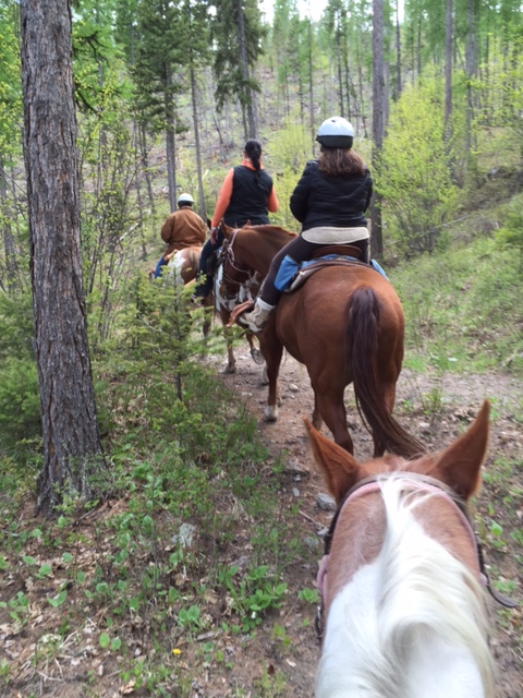 A horseback trail ride is one of many activity options in Western Montana.