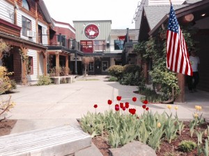 Charming town of Bigfork.