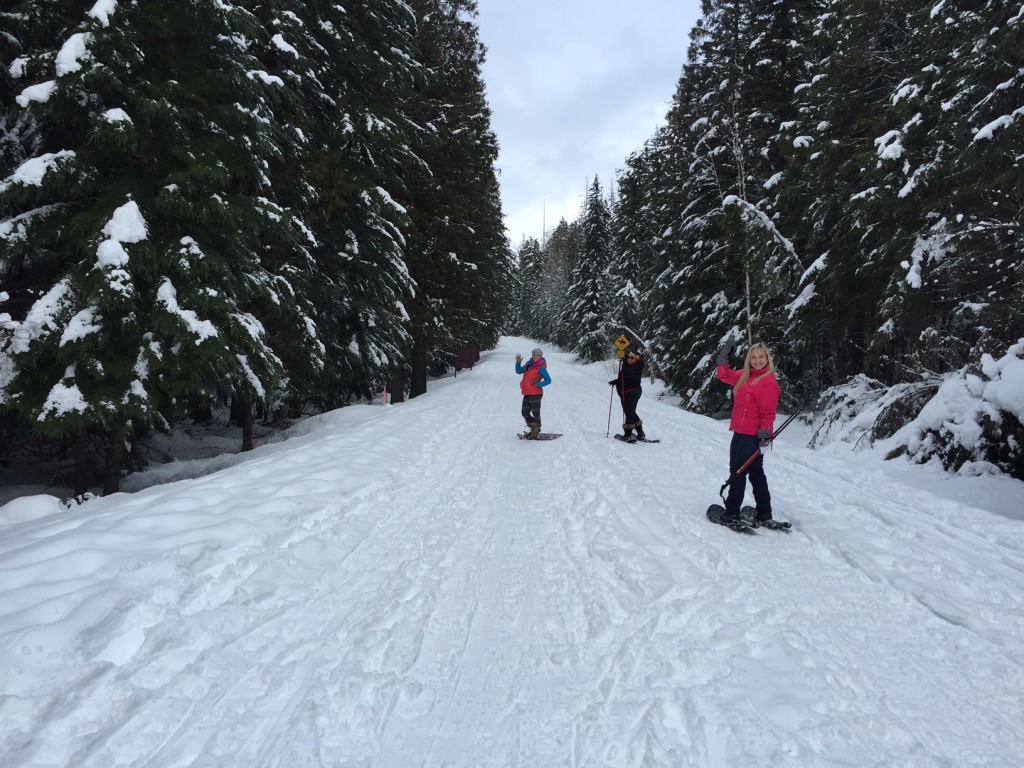 Snowshoeing in Glacier National Park