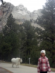 Great faces + mountain goats = a match made in South Dakota.