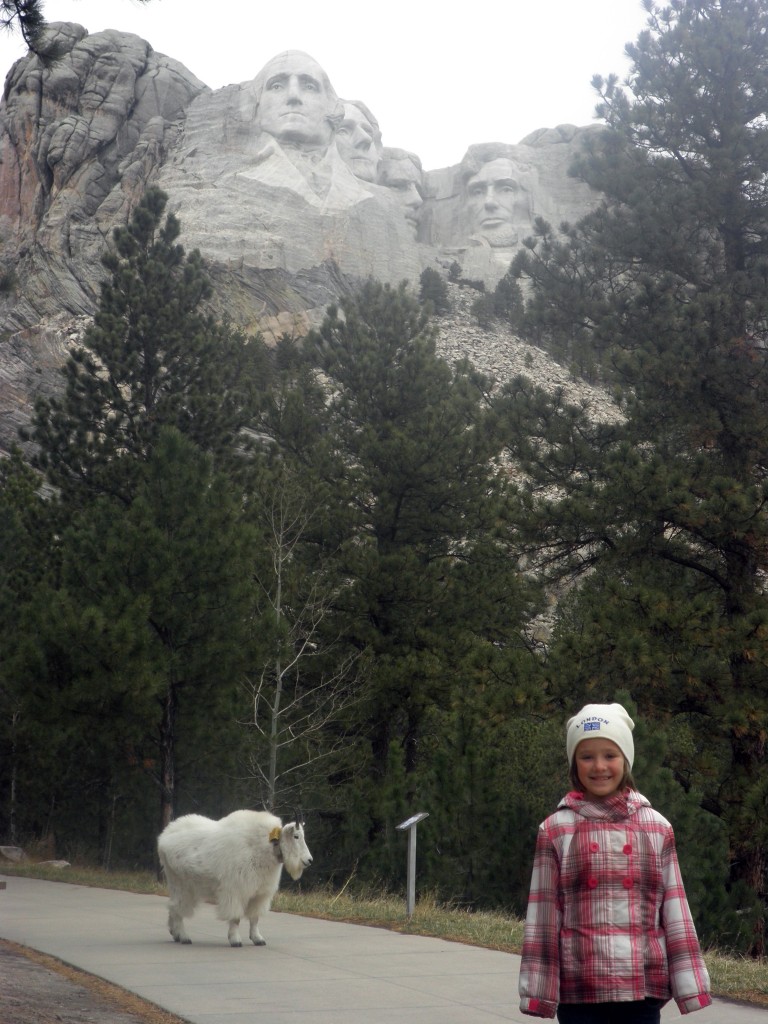 Great faces + mountain goats = a match made in South Dakota. 