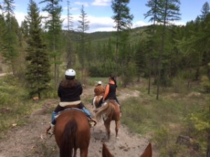 Trail ride in the Salish Mountains outside of Kalispell.