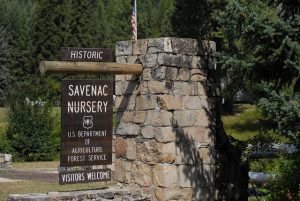 The entrance to the historic Savenac Nursery in Haugan, Montana. Photo: U.S. Forest Service Northern Region