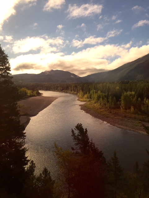 View of the Flathead River from the train.