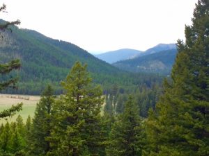 The Cabinet Mountains.