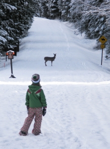 Winter Fun in Western Montana With Glacier Adventure Guides