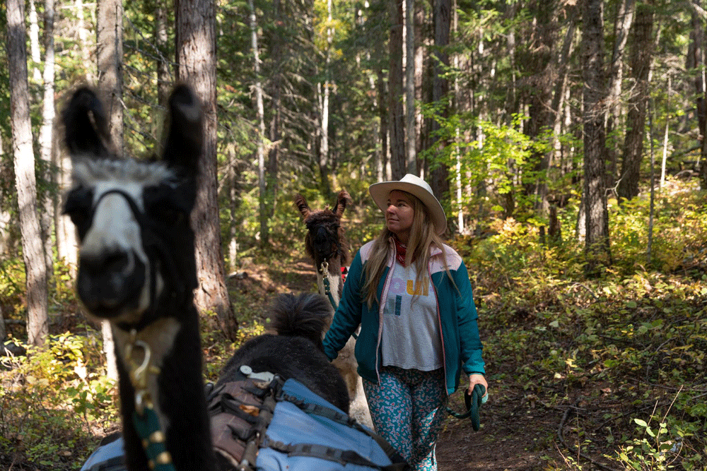 Llama Trekking: One of the Most Unique Group Hiking Trips You’ll Ever Take