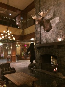 whitefish lodge depiction glaciermt