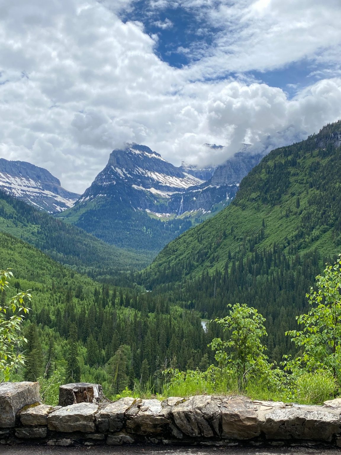 Add Soft Adventure Ebiking in Glacier National Park to Your Itinerary