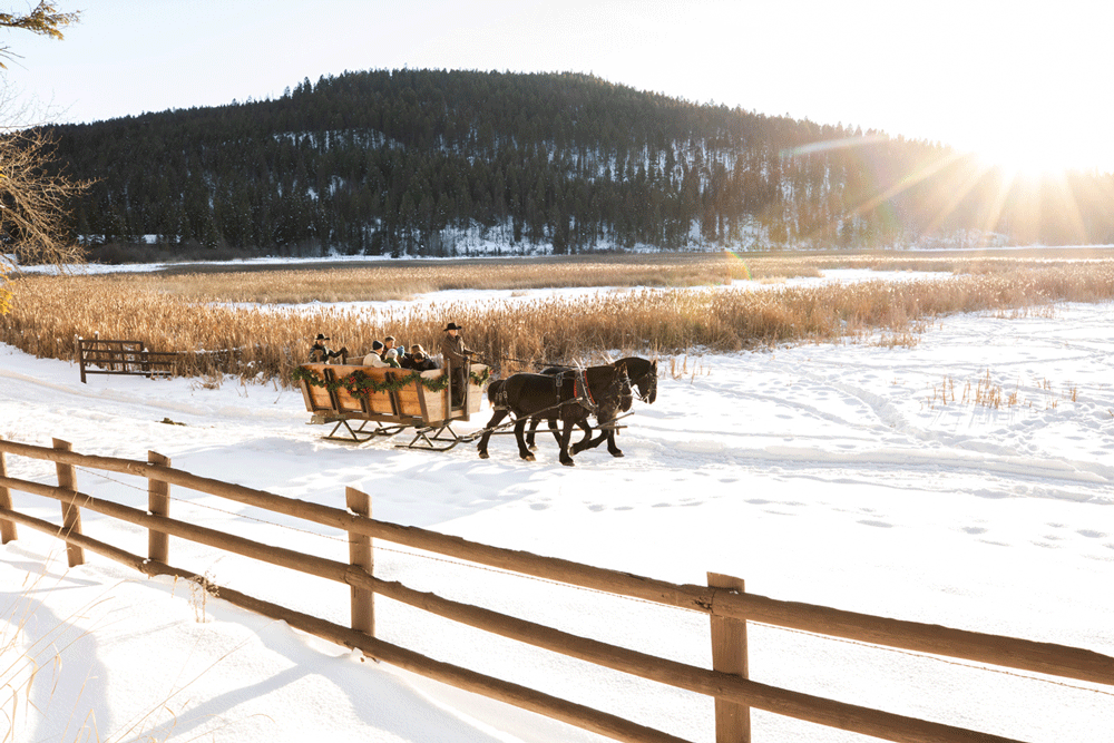 Holiday Tour in Western Montana