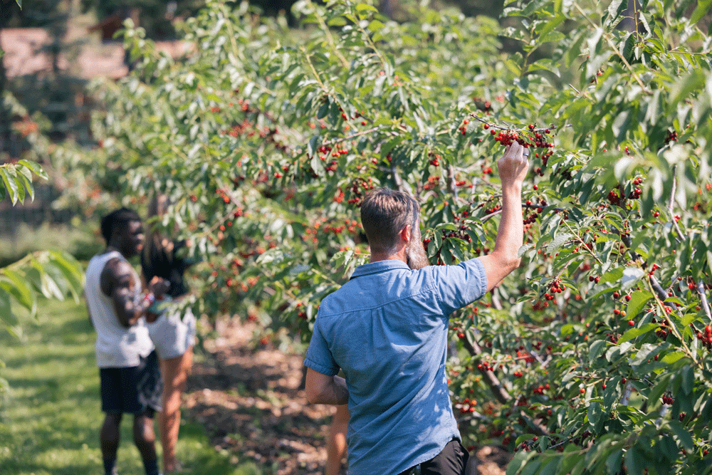 Four-Day Agritourism Adventure